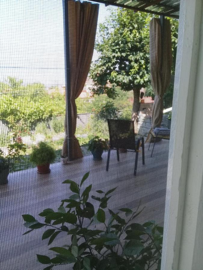 Apartment Giorgi In Sighnaghi Exterior photo