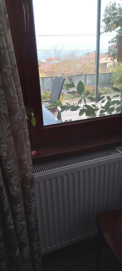 Apartment Giorgi In Sighnaghi Exterior photo