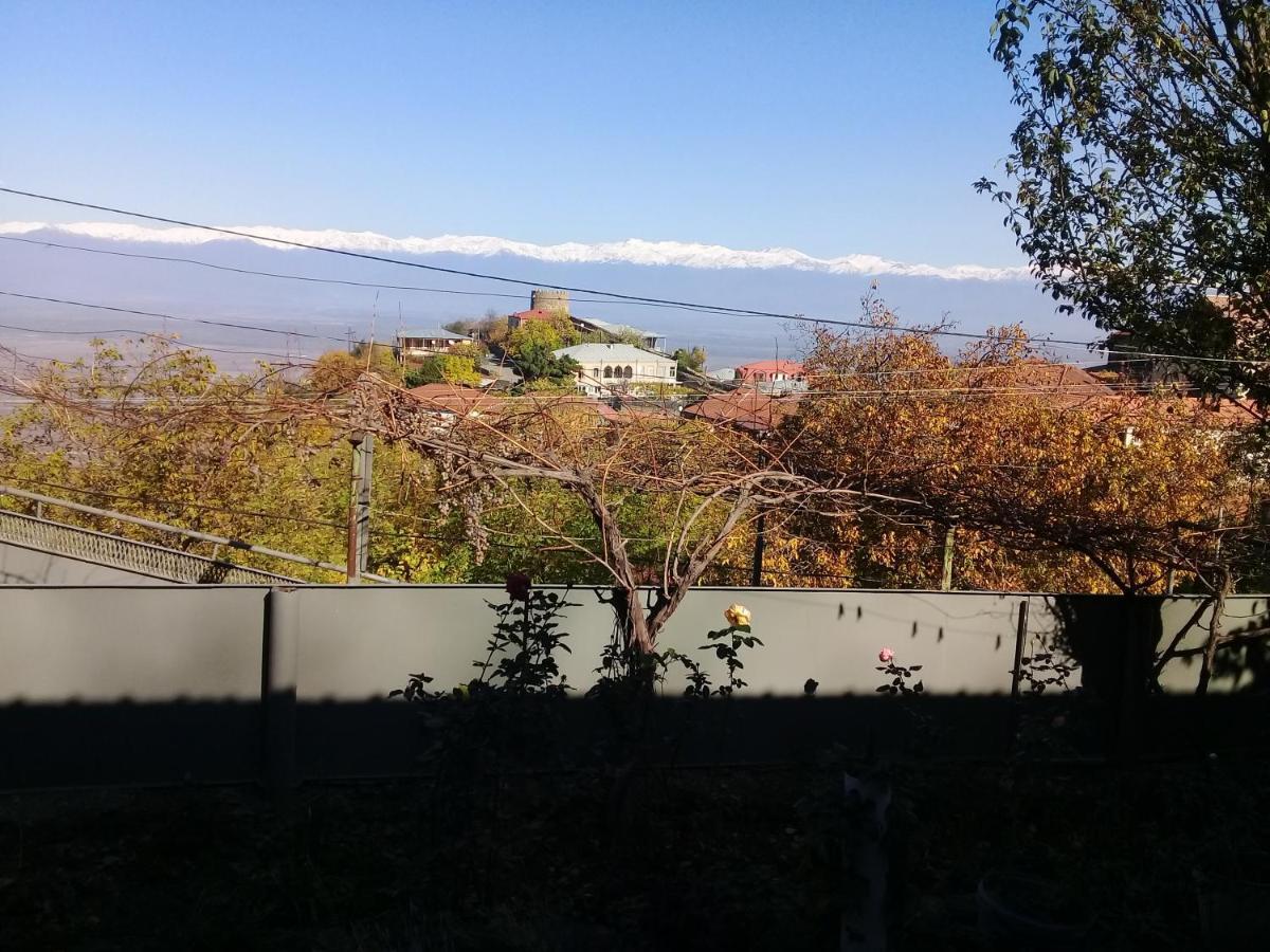 Apartment Giorgi In Sighnaghi Exterior photo